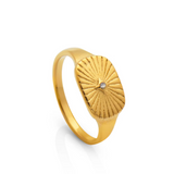 Ribbed Seal Ring