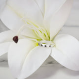 Silver Ring with Ashes in Stars