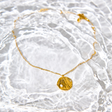Seashell Necklace