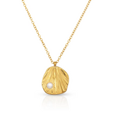 Seashell Necklace