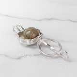 Pet Hair Pendant in Sphere within Silver Paw Print