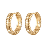 Hoop Earrings with Spring