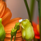 Drop-Shaped Zirconia Earcuff