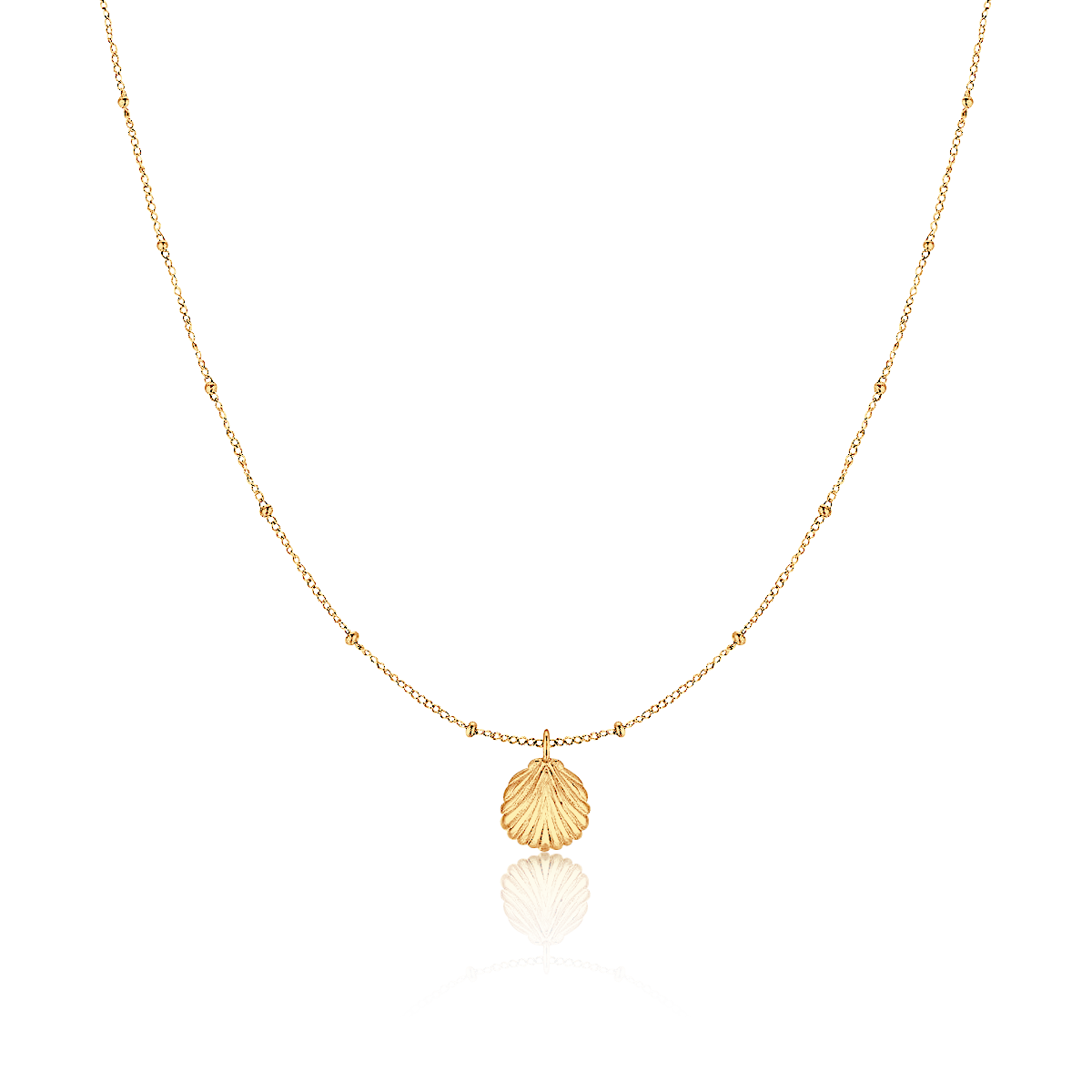 Marine Shell Necklace