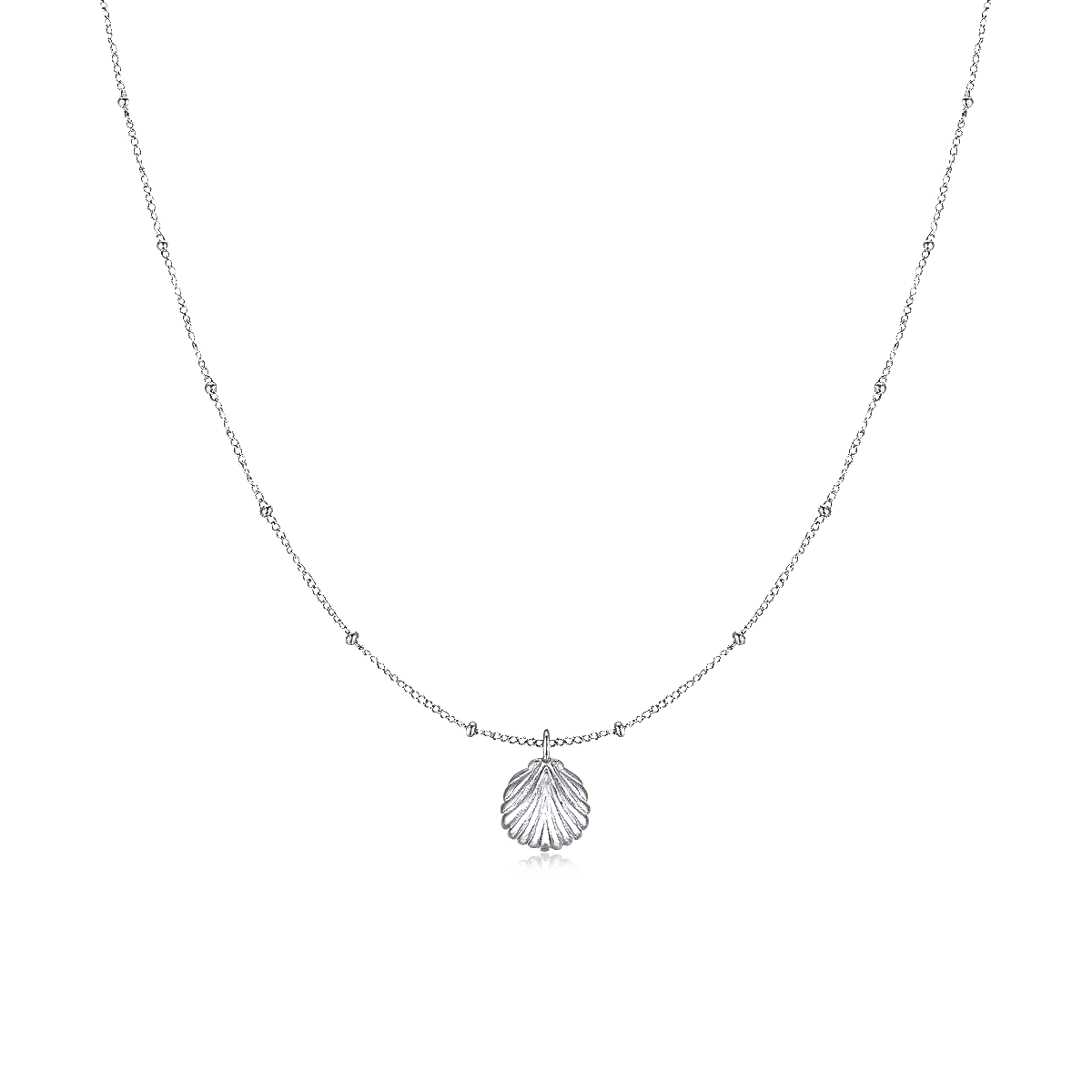 Marine Shell Necklace