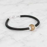 Ashes and Silver Charm
