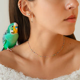 Cocktail Collar Colours