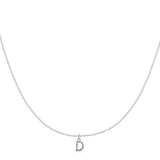 Initial Collar Colour