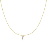 Initial Collar Colour