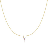 Initial Collar Colour