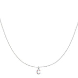 Initial Collar Colour