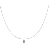 Initial Collar Colour
