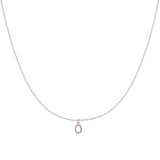 Initial Collar Colour