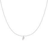 Initial Collar Colour