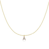 Initial Collar Colour