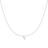 Initial Collar Colour