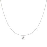 Initial Collar Colour