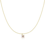Initial Collar Colour