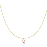 Initial Collar Colour