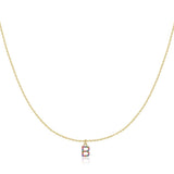 Initial Collar Colour