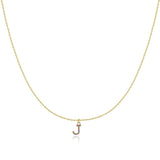 Initial Collar Colour