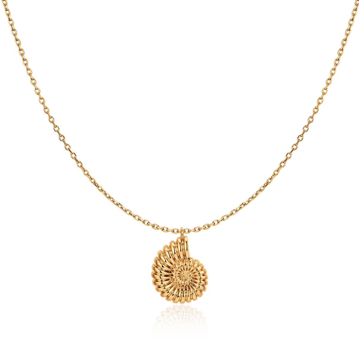 Nautilus Shell Necklace