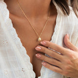 Seashell Necklace