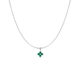 Zebrina Collar