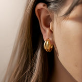 Double Hoop Earrings
