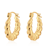 Twisted Hoop Earrings