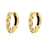 Star Earrings