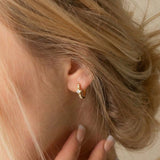 Snowy Shine Earrings