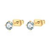Sparkling Earrings