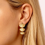 Shell Earrings