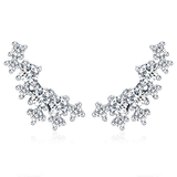 Coral Earrings