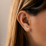 Coral Earrings