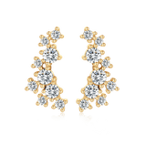 Coral Earrings