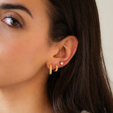 Exotic Heart Earrings