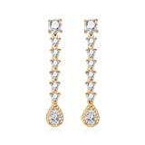 Dazzling Earrings