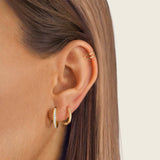 Glazed Earrings