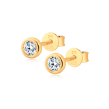 Pin Earrings