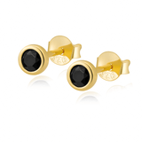 Pin Earrings