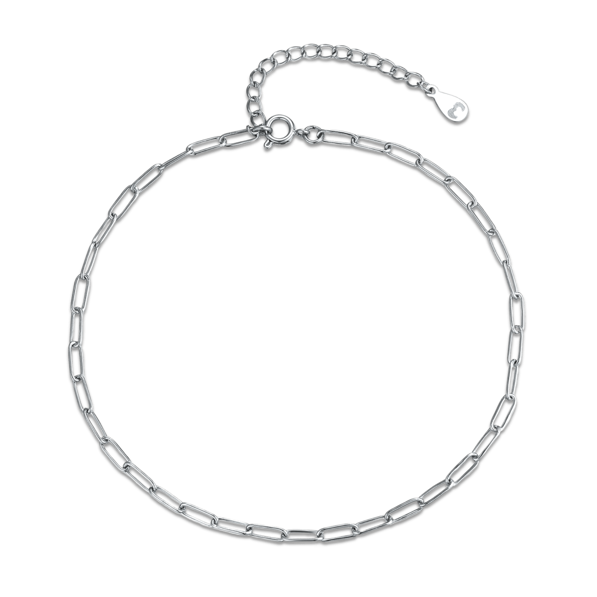 Fine Link Anklet