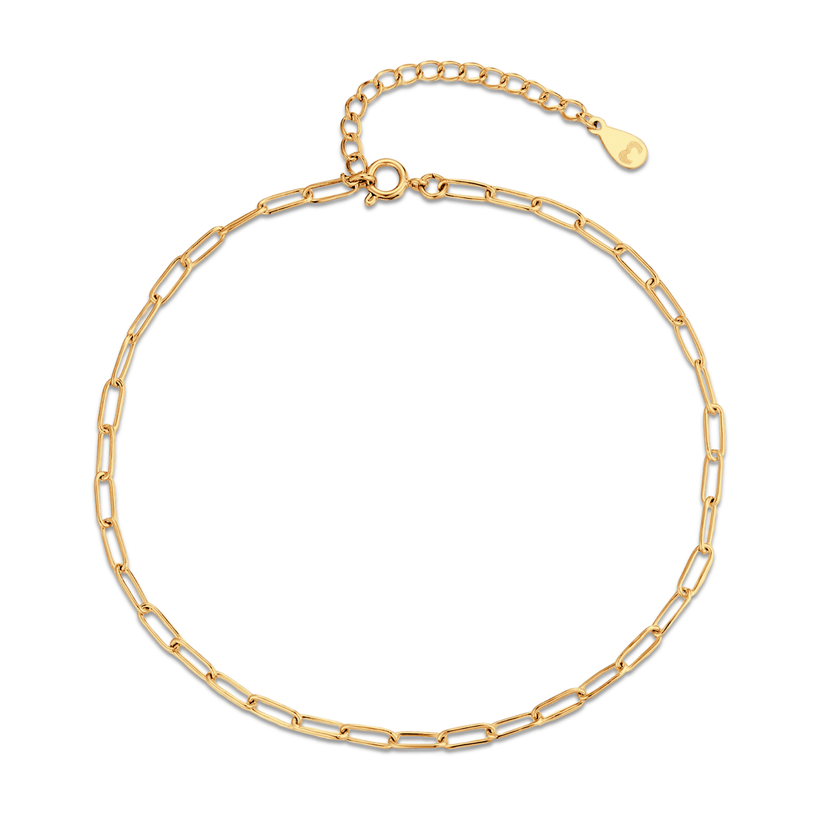 Fine Link Anklet
